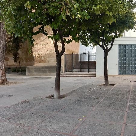 Casa Mnuela - Centro Jerez - Parking Opcional Διαμέρισμα Χέρεζ Εξωτερικό φωτογραφία