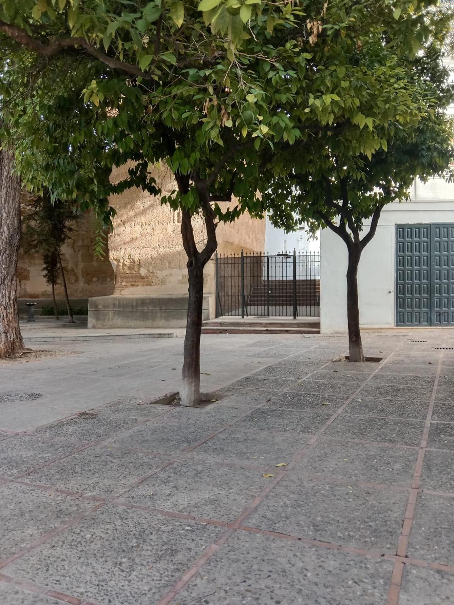 Casa Mnuela - Centro Jerez - Parking Opcional Διαμέρισμα Χέρεζ Εξωτερικό φωτογραφία